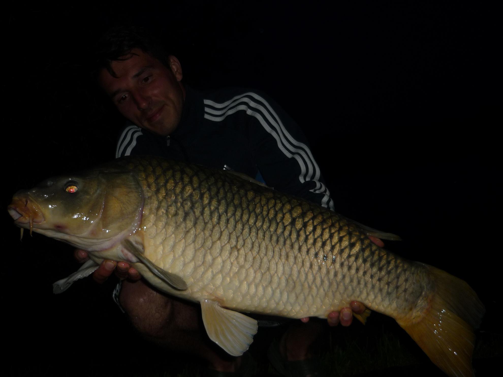 turulung - p1050556.JPG